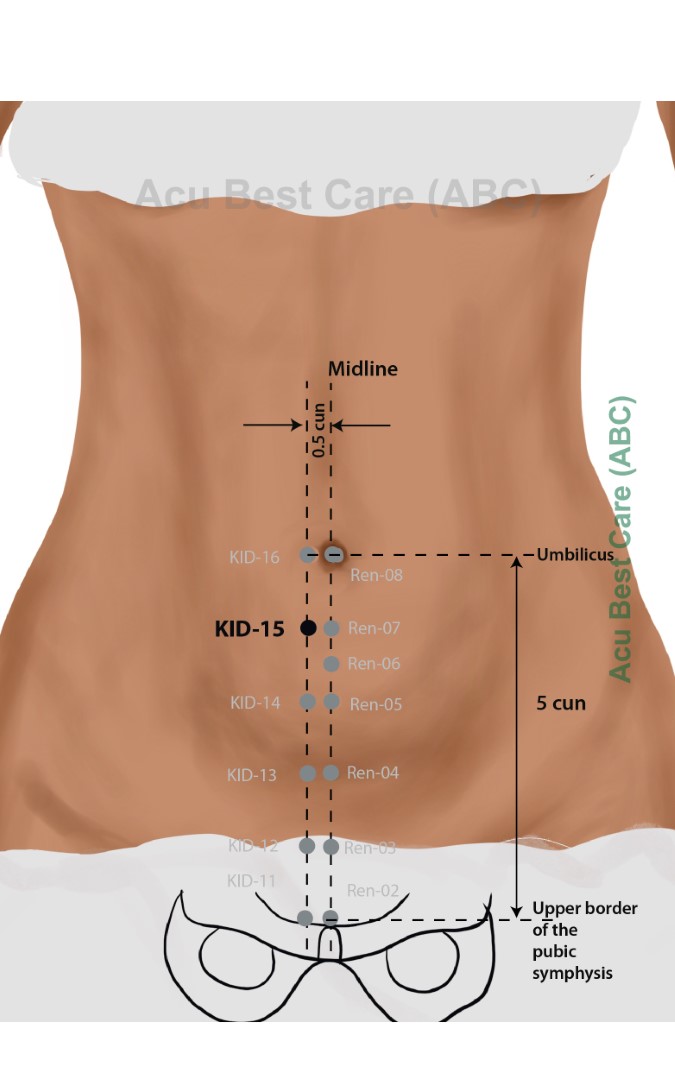 Acubestcare Meridian K-15 or KID-15